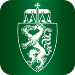 Icon (Logo) der LAnd Steiermark App.